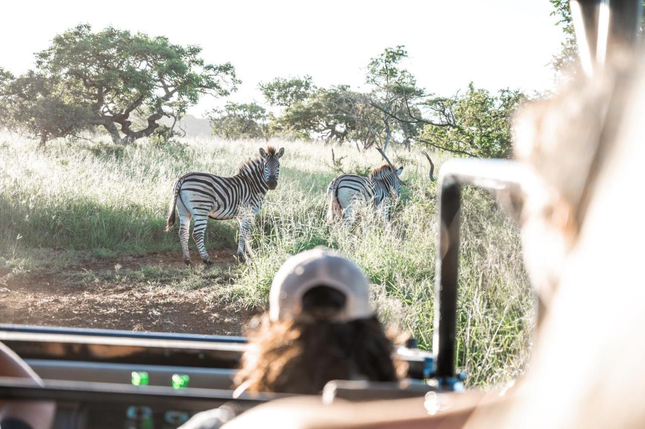 Duiker Game Lodge Hluhluwe Kültér fotó