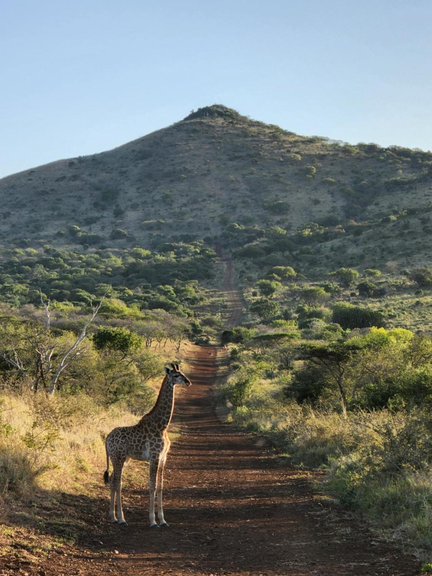 Duiker Game Lodge Hluhluwe Kültér fotó